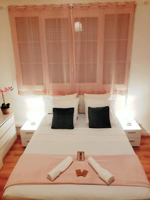 Appartement Cosy Plein Centre 尼斯 外观 照片